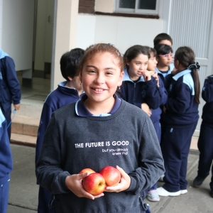 Día de la Actividad Física